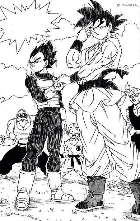 Why are they holding hands like that? Couldn't Vegeta just put is hand on Goku's shoulder or something? I sense there's more going on here. 😏 Goku And Vegeta Manga Panel, Trey Core, Goku And Vegeta Manga, Vegeta Manga, Dbs Manga, Goku Manga, Dbz Manga, Goku Y Vegeta, Tattoo Dragon