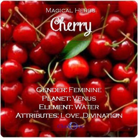 Cherry fruit has been associated magically and metaphysical with love and fertility, and it is an emblem of kindness and youth. -- Cherry Magical Properties Mystical Kitchen, Magickal Plants, Witch Salts, Kitchen Witchcraft, Kitchen Witch Recipes, Green Witchcraft, Magic Herbs, Kitchen Witchery, Magical Herbs