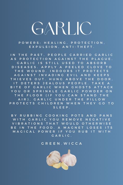 Garlic: A Magical Bulb of Protection, Healing, and Warding Off Thieves! 🧄✨ From ancient folklore to modern uses, this versatile herb is believed to offer powerful protective, healing, and banishing properties. Discover the mystique of garlic and its many virtues. Garlic Protection Spell, Garlic Properties, Honey Spell, Banishing Herbs, Magick Herbs, Spell Books, Witchcraft Spell Books, Protection Spells, Spells Witchcraft