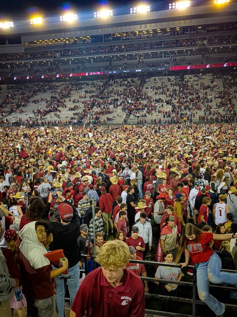 WSU field rush after beating OSU beavers Uw University Of Washington, Washington University In St Louis Aesthetic, Wsu Cougs, Osu Beavers, Sewanee University Of The South, University Of The South Sewanee, Northwestern University Campus, Washington State University, College Vision Board