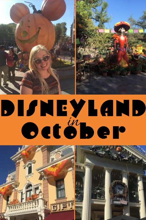 Disneyland In October, Autumn Potpourri, Disneyland October, Disneyland Hacks, Halloween Time At Disneyland, Halloween Bucket List, Disneyland Holidays, Disneyland Family, Fun Trips