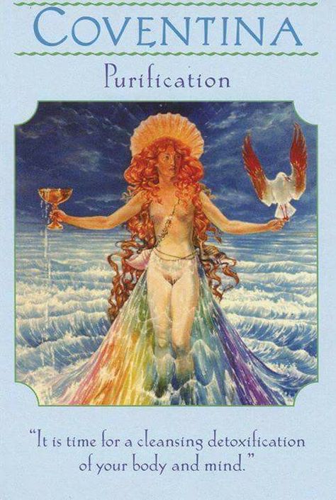 Coventia Purification Goddess Guidance Oracle, Angel Tarot, Angel Oracle Cards, Angel Guide, Oracle Card Reading, Doreen Virtue, Ascended Masters, Angel Guidance, Oracle Tarot