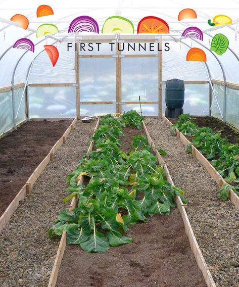 flowerbeds in a polytunnel Bed Layout, Fruit Cage, Tunnel Greenhouse, Diy Greenhouse Plans, Veg Patch, Backyard Garden Landscape, Backyard Greenhouse, Garden Design Layout, Greenhouse Plans