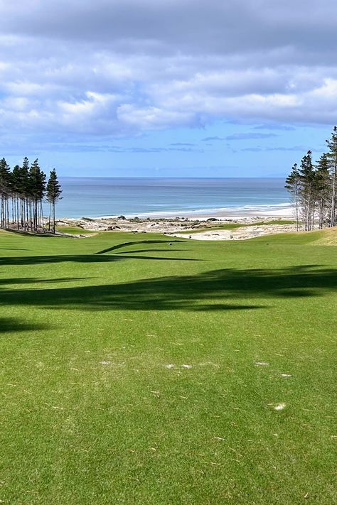 The 4th hole at Te Arai Link Golf Course leads you down the tree-lined fairways to the green by the ocean.  Well worth playing this golf course if you love golf and happen to be in New Zealand. One of the world's top 100 golf courses (was 85th 23/24), so make the effort and dress up a bit flash and bring plenty of golf balls (affiliate links). By The Ocean, Golf Balls, Affiliate Links, Golf Ball, Golf Course, Top 100, The Ocean, The Amazing, Golf Courses