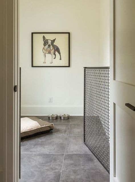 Non-negotiable Dog Room Decor Essentials - Hey, Djangles. Indoor Dog Room, Dog Room Decor, Dog Bedroom, Puppy Room, Dog Spaces, Dog Room, Dog Area, Animal Room, Dog Rooms