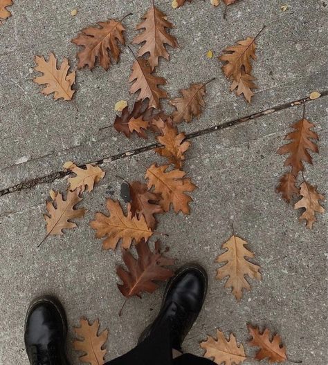 Thatcher Moretti, Leaves On The Ground, Master Board, Fall Mood Board, Book Aesthetics, Fall Inspo, Fall Feels, Dark Academia Aesthetic, + Core + Aesthetic