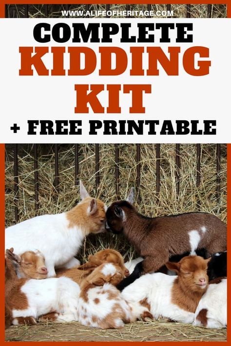 Kidding Kit: A Complete list for goat birth | A Life of Heritage Goat Kidding Kit, Breeding Goats, Goat Health, Homesteading Animals, Nubian Goat, Happy Goat, Goat Care, Goat Barn, Goat Kidding