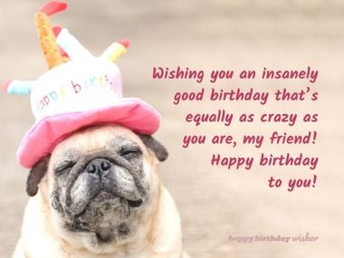 Wishing you an insanely good birthday that’s equally as crazy as you are, my friend! Happy birthday to you! (...) https://www.happybirthdaywisher.com//wishing-you-an-insanely-good-birthday/ Birthday Wishes For Crazy Best Friend, Happy Birthday Crazy Friend, Crazy Birthday Wishes, Crazy Friend Quotes, Crazy Birthday, Bday Quotes, Friend Happy Birthday, Funny Birthday Wishes, Birthday Wishes For Her