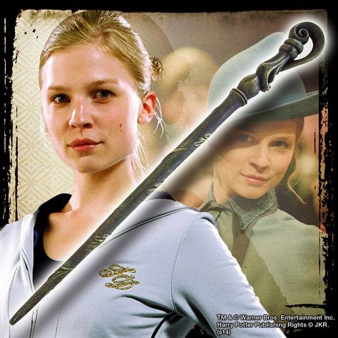 #HarryPotter_TheGobletOfFire (2005) - #FleurDelacour Harry Potter Fleur Delacour, Harry Potter Magic Wand, Fleur Delacour, Harry Potter Magic, Harry Potter Collection, Magic Wand, Hermione Granger, Fantastic Beasts, Warner Bros