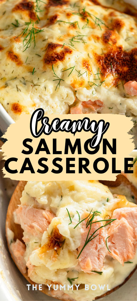 Baked Salmon Casserole is a delicious pasta-free bake that combines salmon and vegetables in a creamy sauce for a hearty yet low-carb meal option your whole family will love. #salmoncasserole #salmonrecipes #bakedsalmon Salmon And Cream Cheese Recipes, Salmon Cauliflower, Salmon And Vegetables, Salmon Casserole, Creamy Salmon, Easy Casserole Dishes, Chicken Broccoli Rice Casserole, Canned Salmon, Broccoli Rice Casserole