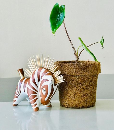 My #alocasiazebrina and my #zebra toothpick-holder. . . . . . . . . #kokodama #indoorplants #plants #urbanjungle #aglaonema #houseplants… Clay Toothpick Holder, Przewalski Horse, Decor Mood Board, Gizmos And Gadgets, Wooden Items, Match Stick, Easy Doodle, Decor Diy Ideas, Pottery Inspo