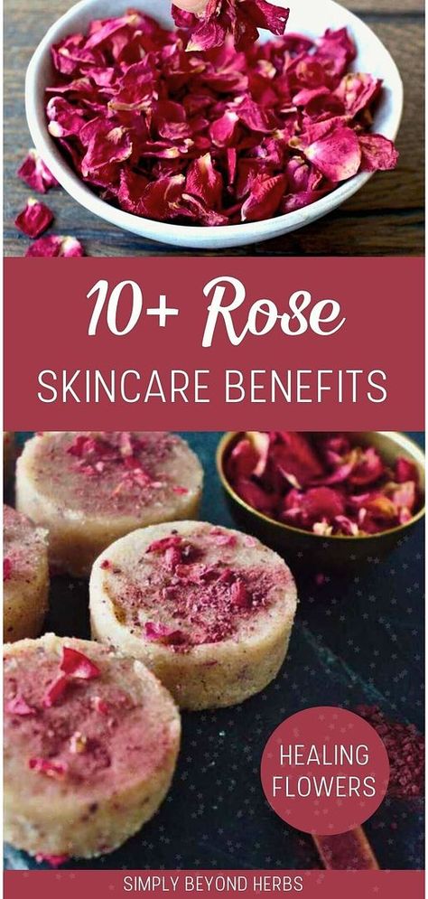 Healing flowers like roses provide 10+ rose skincare benefits that are essential for a healthy complexion. From reducing redness and calming acne to moisturizing dry skin, roses have a lot to offer. Learn how to leverage the power of roses in your skincare regimen. Visit simplybeyondherbs.com for more information on natural herbs, DIY body care, and herbalism recipes. Herbalism Recipes, Herbal Diy, Healing Flowers, Rose Skincare, Homemade Body Care, Skincare Benefits, Diy Body Care, Skincare Regimen, Skin Redness