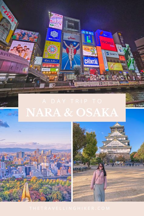 Guide to our day trip to Nara and Osaka from Kyoto. Everything you need to plan the best day trip: must-see places, how to get there, etc.

Nara Japan | Osaka Japan | Dotonbori | Osaka Castle | Nara Park | Nara Deer Park | Todaiji Temple Nara Deer Park, Todaiji Temple, Dotonbori Osaka, Nara Deer, Nara Park, Japan Osaka, Nara Japan, Osaka Castle, Big Buddha