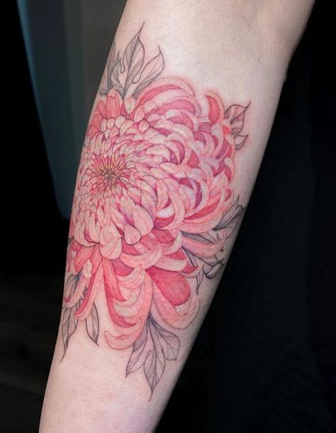 Tattoo uploaded by Nora Ink • Tattoo by Nora Ink #NoraInk #chrysanthemum #flower #floral #fineline #pink #red #illustrative • 1501714 • Tattoodo Abdominal Tattoo, Japanese Chrysanthemum Tattoo, Crisantemo Tattoo, Tattoo Collage, Pink Flower Tattoos, Chrysanthemum Flower Tattoo, Rhino Tattoo, Tattooed Lady, Mum Tattoo