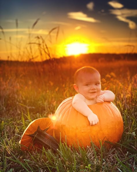 7 Month Old Baby Pictures October, Pumpkin And Baby Photos, Baby In Pumkin Ideas Pictures, Autum Photoshoot Baby, Infant In Pumpkin Picture, Pumpkin Fall Pictures, Family Pumpkin Ideas, One Year Old Pumpkin Photo Shoot, Fall Pumpkin Baby Photoshoot