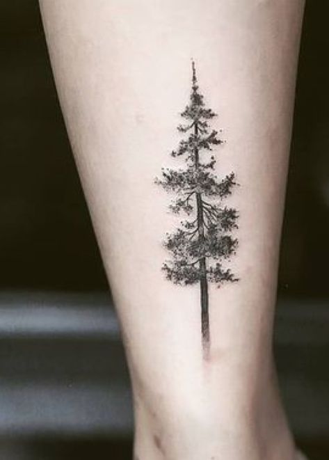 Tree Calf Tattoo, Forest Inspired Tattoo, Mushroom Tree Tattoo, Poplar Tree Tattoo, Three Trees Tattoo, Nature Tree Tattoo, Ankle Tree Tattoo, Black Spruce Tattoo, Oak Tree Tattoos