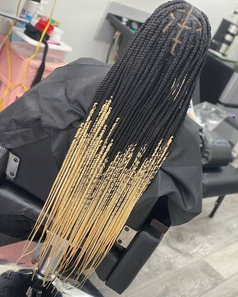 50 Box Braids Protective Styles on Natural Hair with Full Guide – Coils and Glory Box Braids With Blonde Ends, Braids With Blonde Ends, Box Braids With Blonde, Box Braids Protective Styles, Braids With Blonde, Styles On Natural Hair, Braids Protective Styles, Box Braids Bob, Black Box Braids