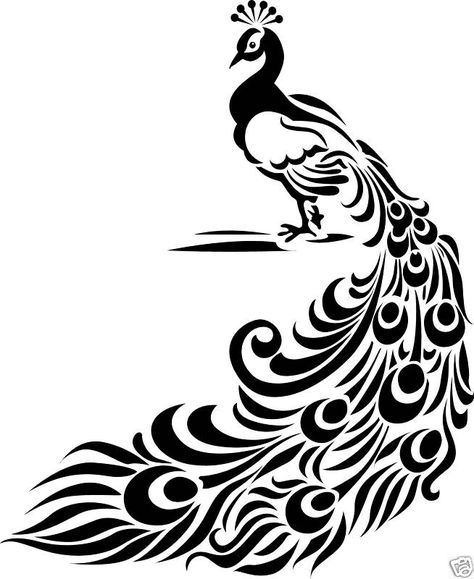 peacock...love the feather pattern | Embroidery patterns | Pinterest Peacock Outline Drawing, Peacock Outline, Peacock Drawing, White Peacock, Peacock Art, Outline Designs, Paper Embroidery, Stencil Patterns, Painting Designs