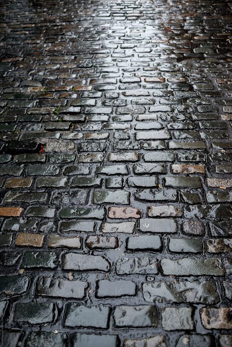 Wet Sidewalk, Ballerina Images, Painted Lady House, Paving Texture, Victorian Street, Scene Writing, Stone Street, Stone Path, Square Stone