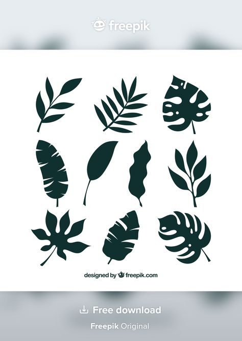 Colección de hojas tropicales con estilo... | Premium Vector #Freepik #vector #adorno #verano #hoja #verde Leaf Collection, Nature Logo Design, Old Paper Background, Grass Pattern, Palm Tree Silhouette, Leaf Silhouette, Tree Icon, Cartoon House, Plant Vector