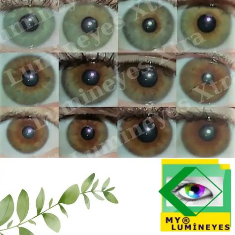 Eye Color Change Surgery, Family Farm Seaside, Change Eye Color, Change Your Eye Color, Laser Eye Surgery, Laser Eye, Facial Yoga, Quick Workout Routine, Eye Surgery