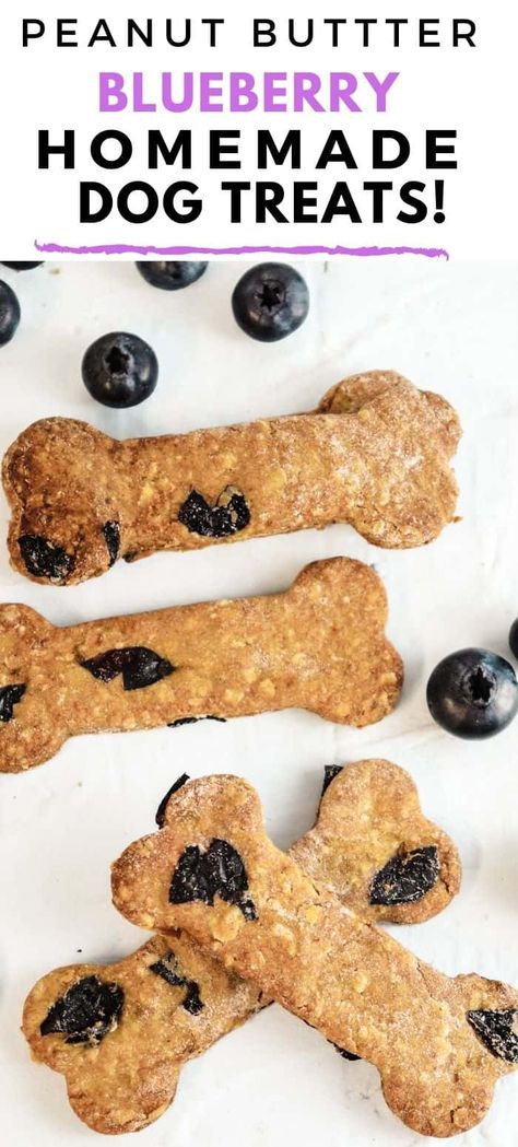 Blueberry Dog Treat Recipe, Blueberry Dog Treats, Banana Dog Treat Recipe, Dog Cookie Recipes, Peanut Butter Blueberry, Peanut Butter For Dogs, Dog Treat Recipe, Easy Dog Treat Recipes, Dog Biscuits Homemade