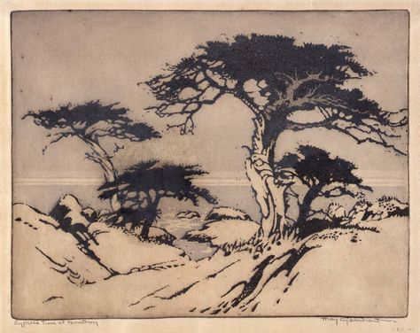 Cypress Trees at Monterey n.d. May Gearhart California Cypress Trees, Monterey Cypress Tree Tattoo, Monterey Cypress Trees, Cypress Illustration, Cypress Tattoo, Cypress Tree Tattoo, Cliffs Tattoo, Cyprus Trees, Dark Forests