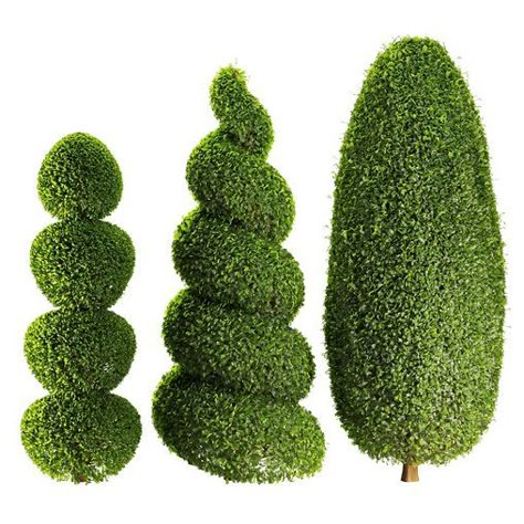 Decorative Spiral Pom Pom Cypress Topiary Illustration, Pom Pom Topiary, Tree Top View, Trees Top View, Pom Pom Tree, Italian Cypress, Areca Palm, Boxwood Topiary, Topiary Trees