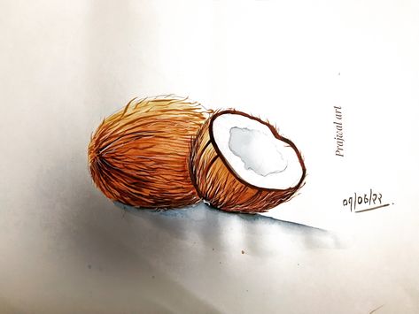 Today's class Object drawing. . Artist -prajwal Tiwaskar 🎨🎨🖌️ #artoninstagram #art #artist #onion #watercolourpainting #watercolour #coconut Object Drawing Watercolour, Toilet Paper Flowers, Baby Face Drawing, Vegetables Drawing, Vegetable Drawing, Ganesha Drawing, Colour Drawing, Abstract Pencil Drawings, Watercolor Wave