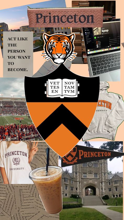 Princeton Aesthetic, Princeton University Campus, University Collage, University Inspiration, College Inspiration, College Vision Board, Law School Inspiration, Dream Collage, Ivy League Schools