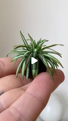 Miniature Polymer Clay Plants, Polymer Clay Plants Tutorial, Polymer Clay Terrarium, Diy Mini Plants, Super Clay Craft, Polymer Clay Crafts Diy, Polymer Clay Plants, Mini Plants Diy, Diy Polymer Clay Crafts