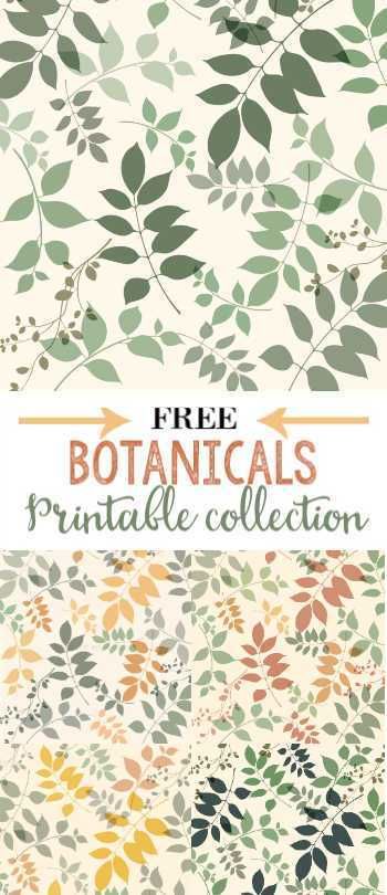 Free Botanical Printables 6 color options Free Plant Printables, Herb Prints Free Printable, Free Botanical Printables, Vintage Butterfly Prints Free Printable, Framed Botanical Prints Lowe's, Free Fern Printables Wall Art, Botanical Prints Free, Spring Printables Free, Botanical Printables