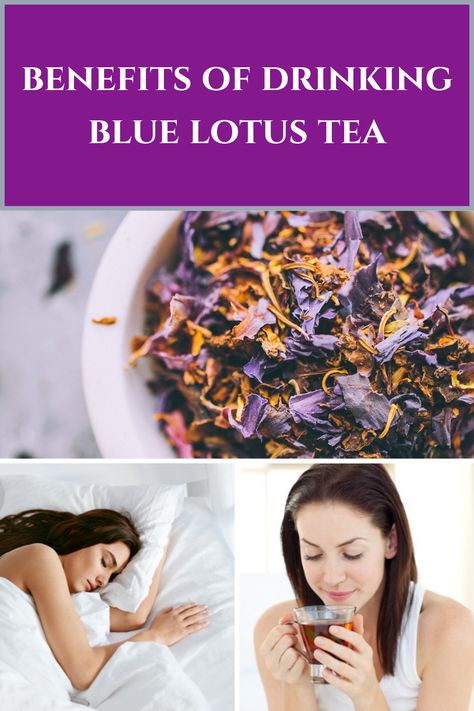 Rooted in the ancient traditions of Europe and revered along the banks of the Nile River, the Blue Lotus, a captivating blue lily, holds deep spiritual and cultural significance. Renowned for its multitude of benefits, this exquisite flower is now endangered, making each bloom a precious treasure.  Discover its essence in our premium organic Blue Lotus dried flowers, perfect for savoring in therapeutic teas. Lotus Flower Tea Benefits, Blue Lotus Herb Benefits, Blue Lotus Flower Tea Benefits, Blue Lotus Tea Recipe, Blue Lotus Benefits, Blue Lotus Tea Benefits, Blue Lotus Flower Benefits, Blue Lotus Flower Tea, Blue Lotus Tea