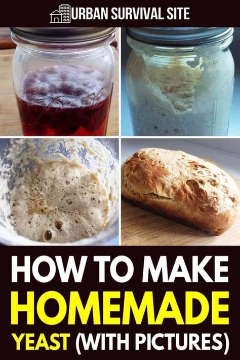 In case the stores run out of yeast or you're living off the grid, here are step-by-step instructions on how to make homemade yeast. Prepping List, Bread With Yeast, Survival Recipes, Survival Knowledge, Fermenting Foods, Homestead Skills, Emergency Rations, Poblano Soup, Homemade Yeast