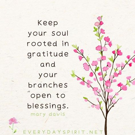 Mary Davis on Instagram: "May your soul be rooted in gratitude and your branches open to blessings. 🌳 May your leaves soak up joy and your blossoms turn toward the sun. 🍃🌼 May your fruit feed your soul with wisdom. 🍏 May your seeds plant kindness in neighboring gardens. 🌻 In today’s book page, we talk about how gratitude actually changes the energy around the object of our thanks. When we appreciate something, we enhance the light surrounding it. Isn’t it amazing how when we admire any l Aloha Friday, Zen Quotes, Spirit Quotes, Morning Affirmations, Kindness Quotes, Attitude Of Gratitude, Flower Quotes, Good Morning Happy, Daily Inspiration Quotes