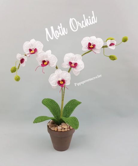 How to crochet flowers that last a lifetime - Live Chill life Crochet Orchid, Flower Pattern Crochet, Orchid Drawing, Orchid Pattern, Calla Lily Bouquet Wedding, Orchid Photography, Crochet Flower Pattern, Crochet Succulent, Orchid Centerpieces