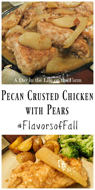 A Day in the Life on the Farm: Welcome to #FallFlavors; Pecan Crusted Chicken Cutlets with Pears Pear Chicken Recipes, Pear Main Dish Recipes, Pear Chicken, Pecan Crusted Chicken, Friends Recipes, Life On The Farm, Pumpkin Waffles, Autumn Recipes, Poached Pears