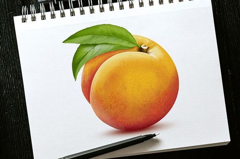 How to Draw a Peach – An Easy Step-by-Step Peach Illustration Tutorial How To Draw A Peach, How To Paint A Peach, Peaches Sketch, Peach Painting Easy, Peach Drawing Realistic, Peach Outline, Peach Sketch, Peaches Painting Acrylic, Tree Art Diy