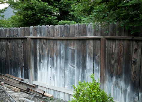 Old Fence, New Life: How to Upgrade that Ratty Fence Old Fence Makeover, Dogear Fence, Old Fence Boards, Wood Restoration, Repurpose Projects, Easy Fence, Glass Fence, Black Fence, Fence Doors