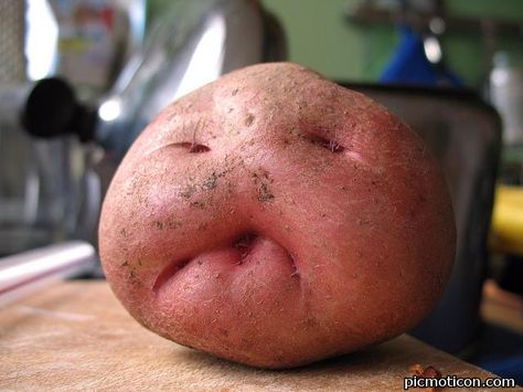 Don't Boil Me Potato Face, Weird Fruit, Things With Faces, Funny Vegetables, Funny Fruit, Mr Potato Head, Summer Tomato, A Potato, Baby Potatoes