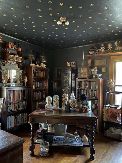 Academia Home Aesthetic, Dark Maximalist Decor, Dark Cottage Core Aesthetic, Dark Academia Living Room, Academia Library, Den Makeover, Captain's Quarters, Moody Home Decor, Dark Cottage Core