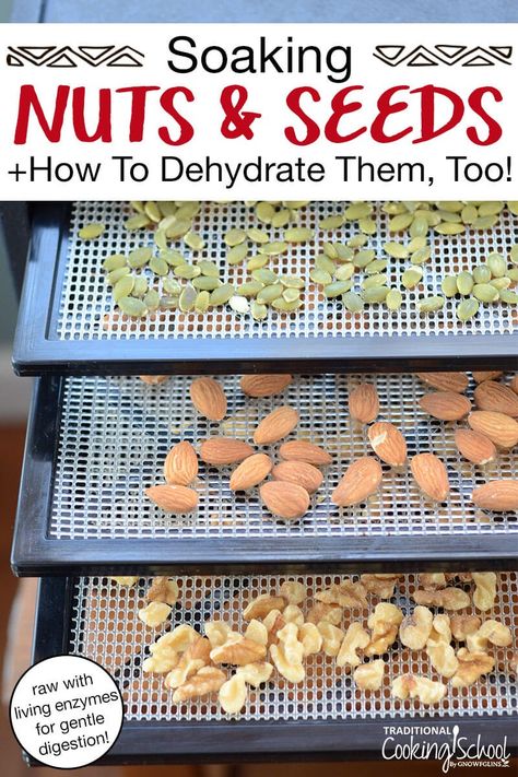 Low Carb On The Go, Dehydrating Fruit, Dehydrated Food Recipes, Dehydrating Food Storage, Dehydrating Recipes, Food Dehydration, Night Cravings, Organic Nuts, Late Night Cravings