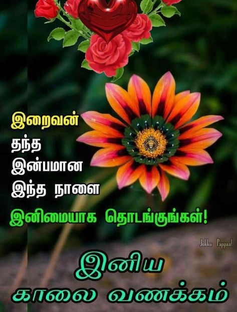 Tamil Wishes, Good Morning, Flowers