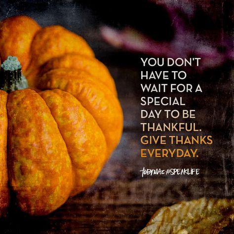 Positive Living Quotes, Toby Mac, Blessed Thanksgiving, November Quotes, Happy Thursday Quotes, Team Quotes, Season Quotes, Thanksgiving Prayer, Thankful Quotes