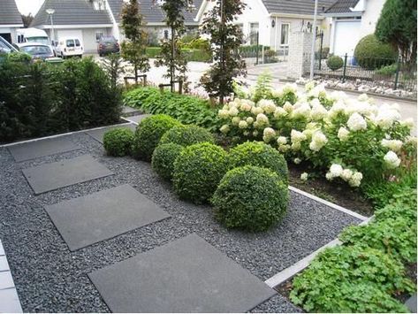 Boxwood   how much do i love thee….it is endless & forever    Box however, is becoming elusive. Here in the Chicagoland area we are experi... Pavers Gravel, Hydrangea Hedge, Box Balls, Front Gardens, Front Garden Design, Have Inspiration, Contemporary Garden, Garden Designs, White Gardens