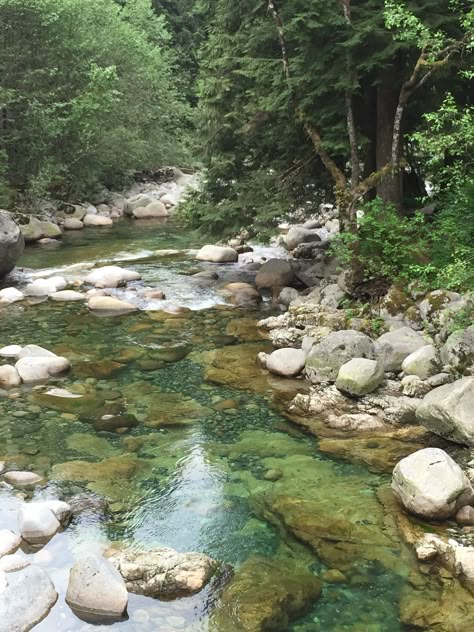 English Forest, Tennessee Summer, Homemade Water Fountains, River Background, Creek Nature, Landscape Reference Photos, Water Forest, Fall Landscape Photography, Miniature Landscape