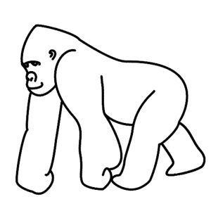 Steps How to Draw Gorilla | How to Draw a Gorilla – Step-by-Step Tutorial Simple Gorilla Drawing, Silverback Gorilla Drawing, How To Draw A Gorilla, Gorilla Cartoon Drawing, Gorilla Drawing Easy, Gorilla Doodle, Gorilla Outline, Gorilla Sketch, Gorilla Drawing