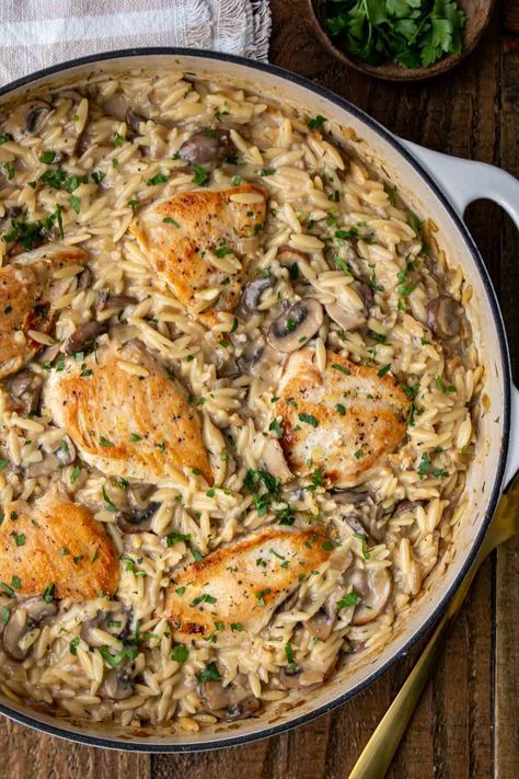 Chicken Mushroom Orzo - Stephanie Kay Nutrition Chicken Mushroom Orzo, Mushroom Orzo, Kay Nutrition, Creamy Chicken Mushroom, Bacon Pasta Recipes, Creamy Orzo, Orzo Recipe, Healthy One Pot Meals, Chicken Mushroom Recipes