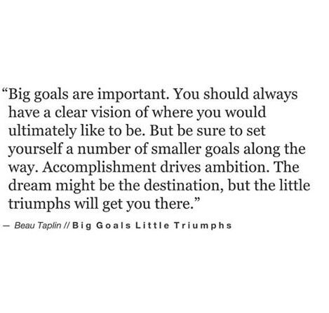 Big goals little triumphs. Beau Taplin Quotes, Goals Quotes, Big Goals, Life Quotes Love, Clear Vision, A Quote, Pretty Words, Boss Babe, Beautiful Quotes