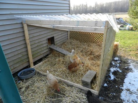 Chicken Shelter, Chicken Ranch, Building Things, Chicken Coop Run, Coop Ideas, Raising Backyard Chickens, Keeping Chickens, And So It Begins, Backyard Chicken Coops